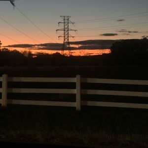 Meet your Posher, Ashlyn